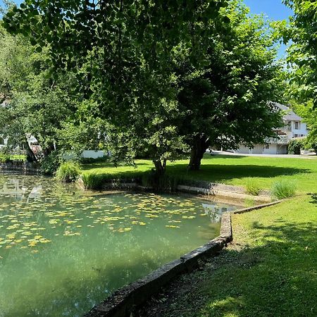 Les Lodges Du Lac Saint-Alban-de-Montbel Zewnętrze zdjęcie